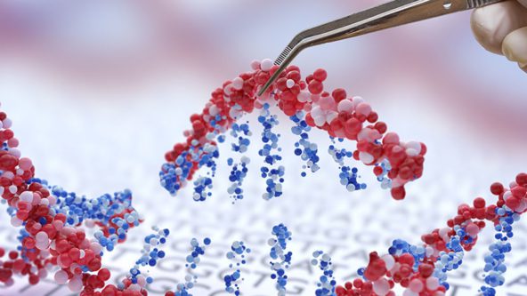 Nemesis Bio: using CRISPR-Cas9 to tackle antibiotic resistance