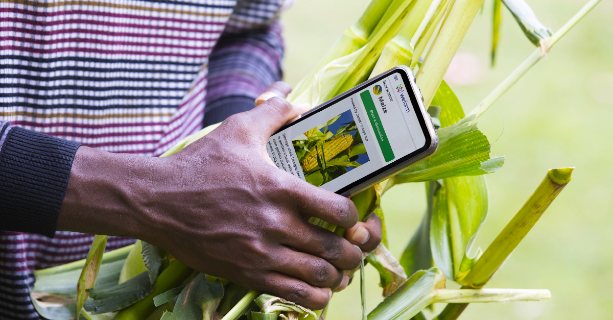 Our investment in Wefarm | Octopus Ventures