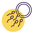 Sperm and Egg icon