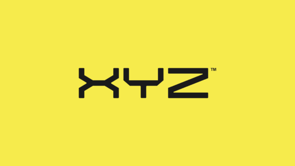 Our investment in XYZ